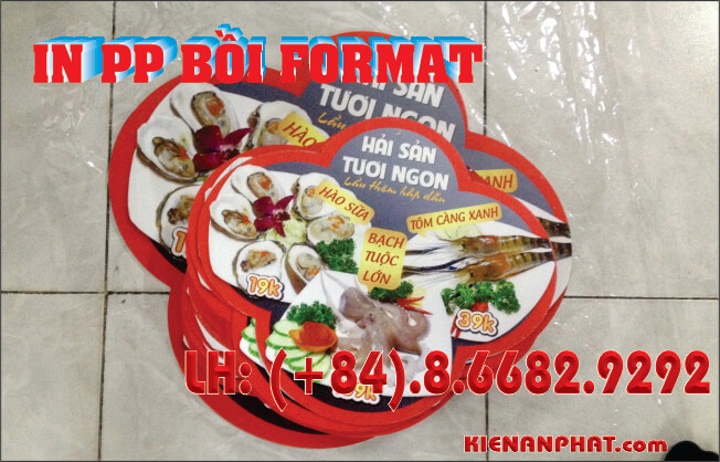 in pp khổ lớn bồi format