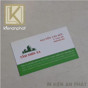cac mau in card visit dep