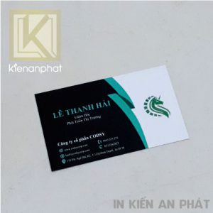 dich vu in card visit