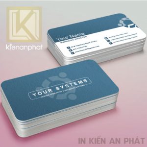 in nhanh card visit