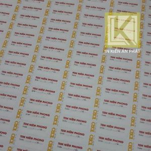 thiết kế nhãn mác