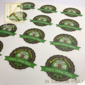 bao gia in decal giay