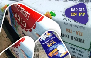 Báo giá in pp 2025 - Kiến An Phát
