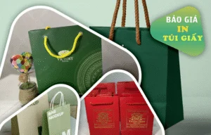 Báo giá in túi giấy 2025 - Kiến An Phát In
