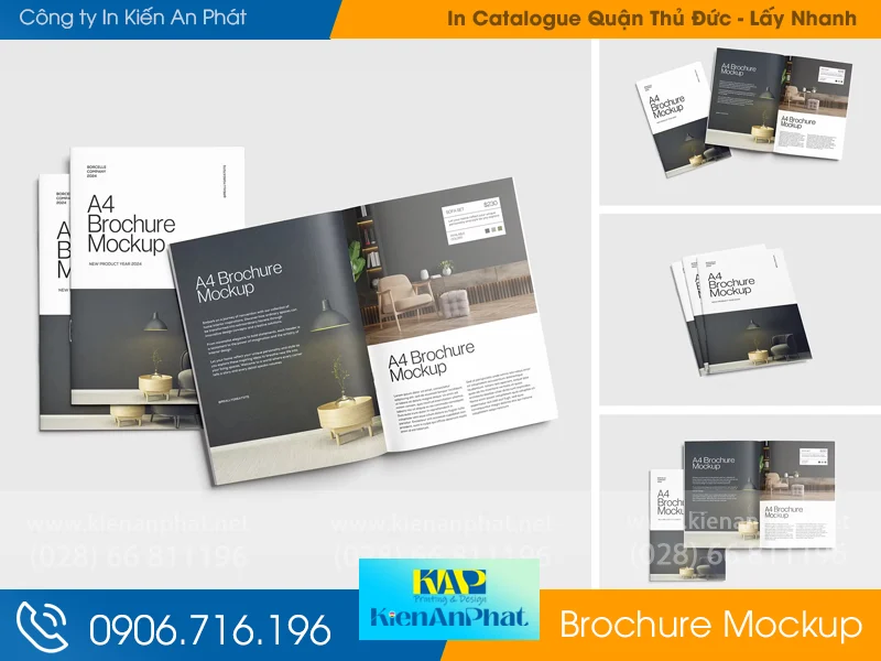 Địa chỉ in Catalogue tại Thủ Đức giá rẻ