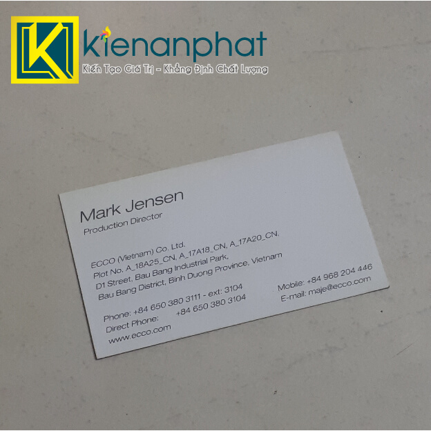 in card visit bình dương